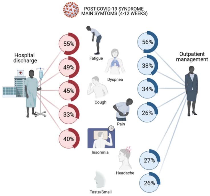 翻攝自/ 楊宗翰中醫師 臉書粉專