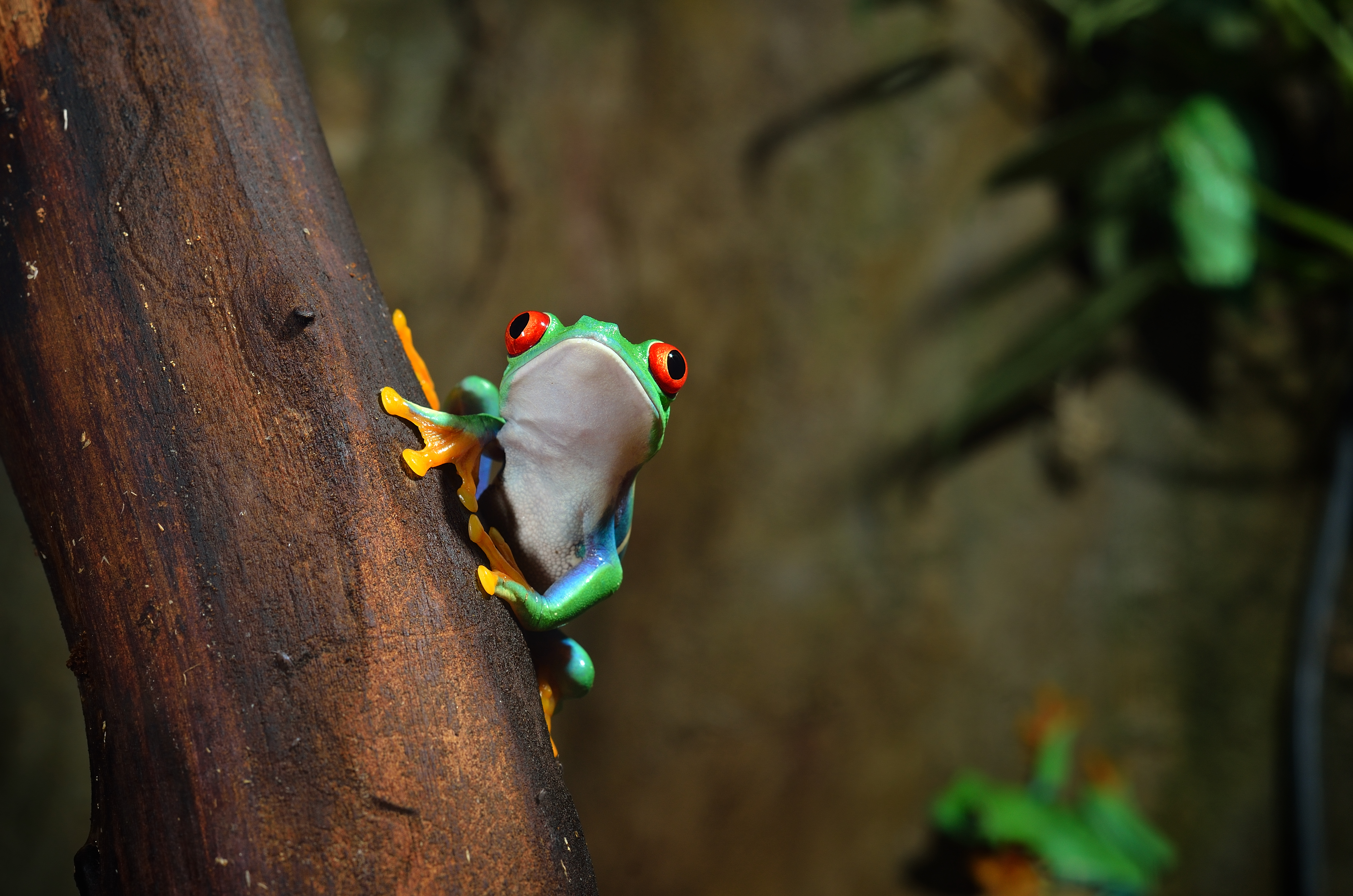 示意圖/Storyblocks