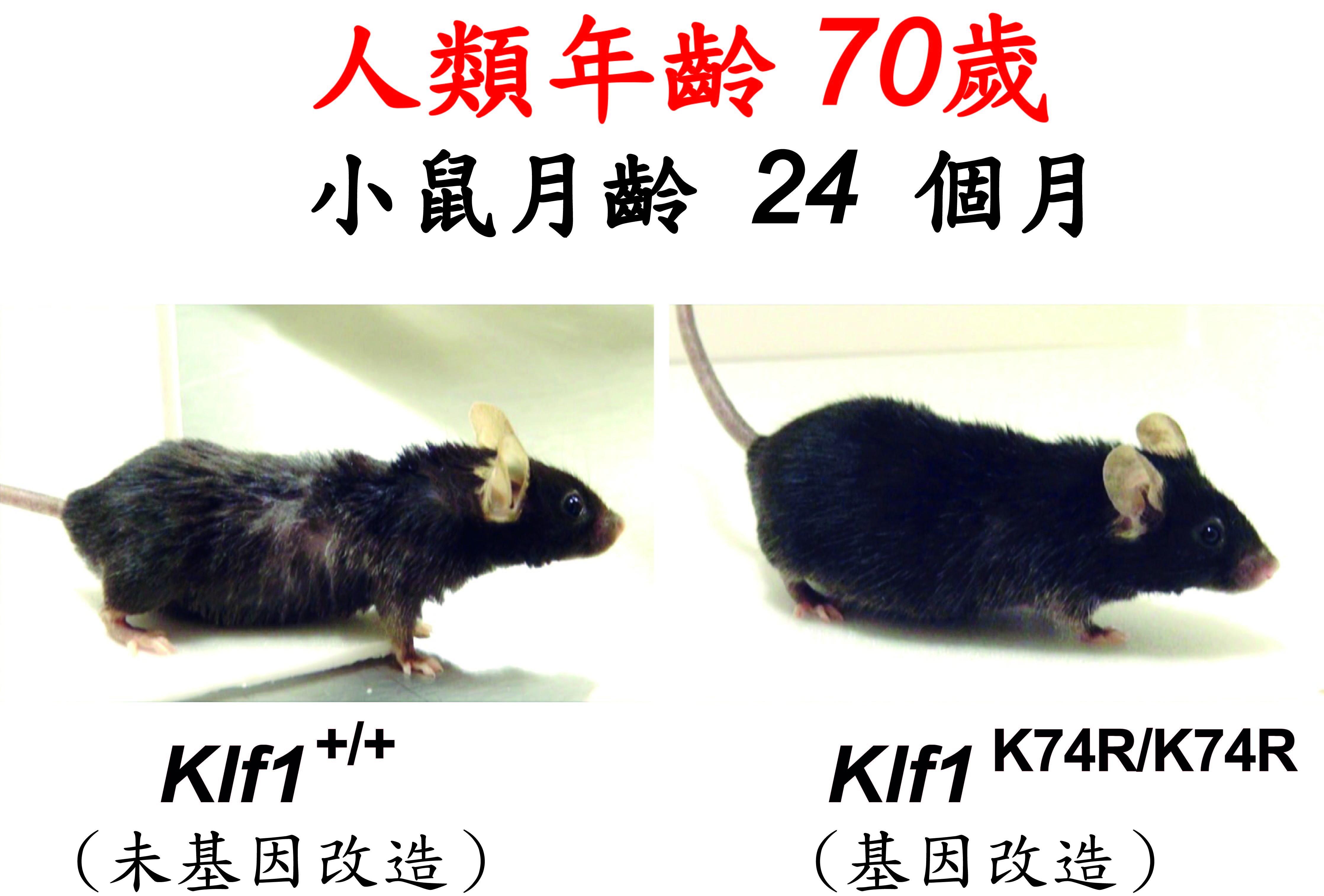 基隆長庚醫院提供